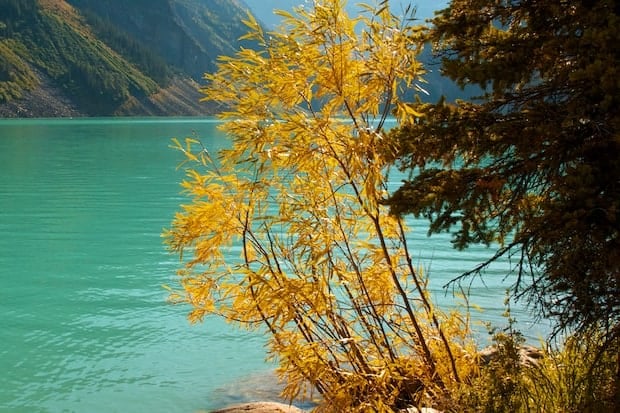 Lake Agnes Teahouse Hike | Get Inspired Everyday! 