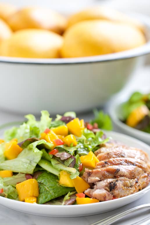 Grilled Chicken Mango Salad | Get Inspired Everyday! 
