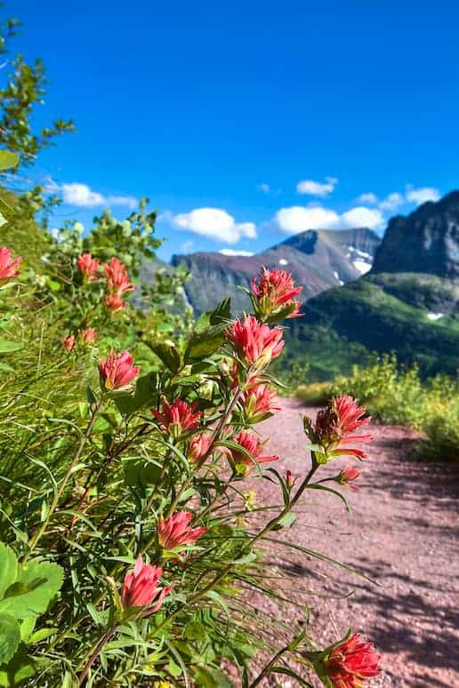 Ptarmigan Tunnel in Glacier National Park | Get Inspired Everyday! 