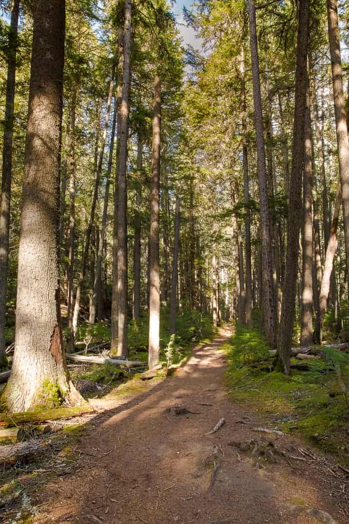 Johns Lake Loop in Glacier National Park | Get Inspired Everyday!