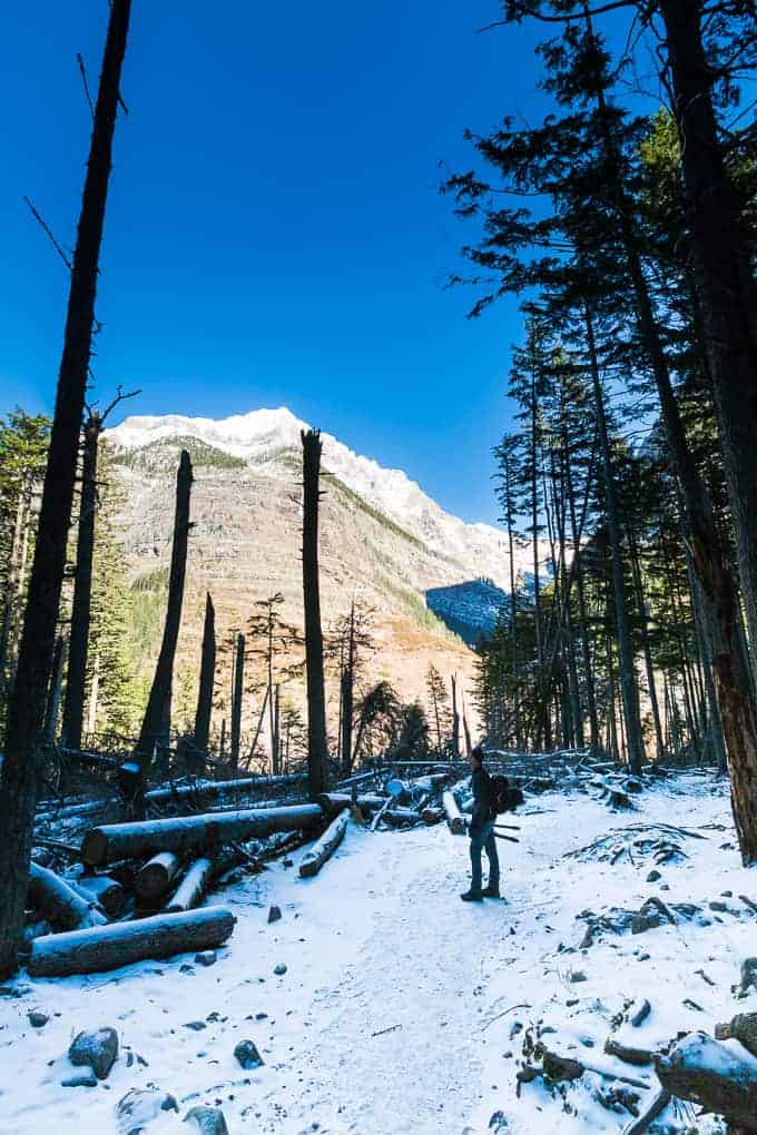 Happy Holidays from Glacier National Park | Get Inspired Everyday!