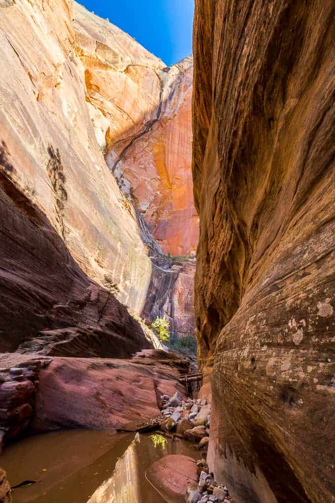 Observation Point in Zion National Park | Get Inspired Everyday!