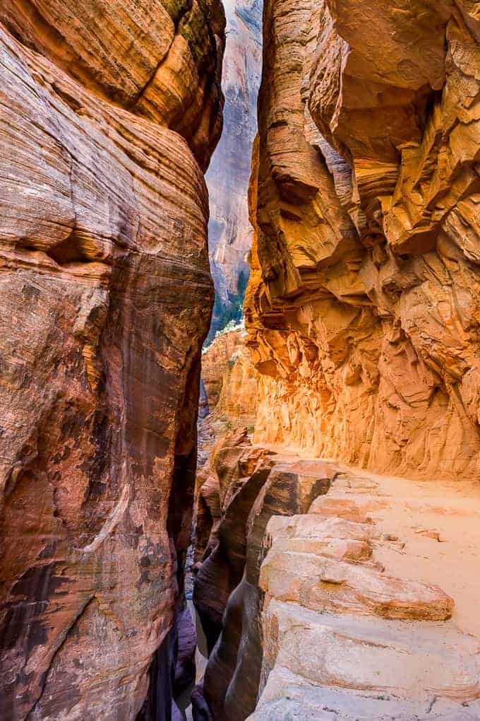 Observation Point in Zion National Park | Get Inspired Everyday!