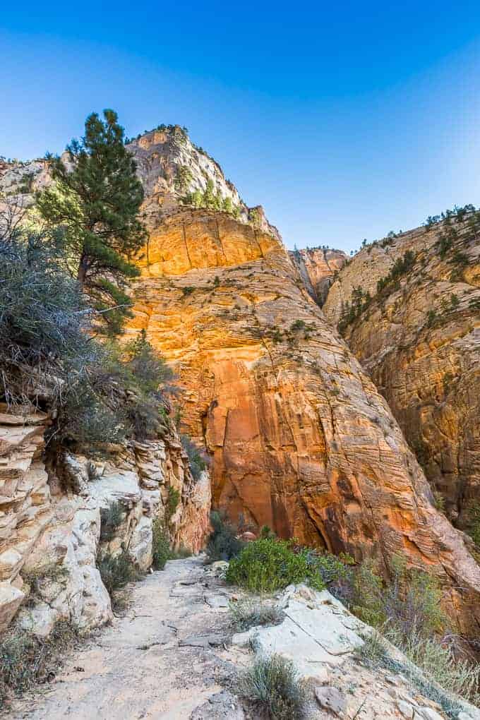 Observation Point in Zion National Park | Get Inspired Everyday!