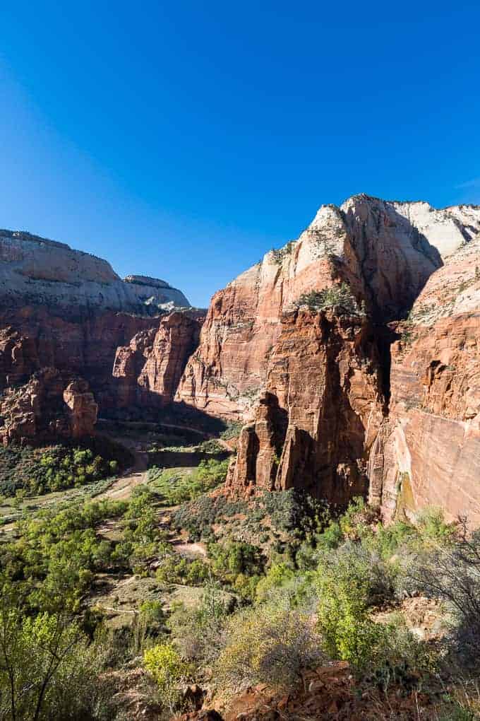 Observation Point in Zion National Park | Get Inspired Everyday!