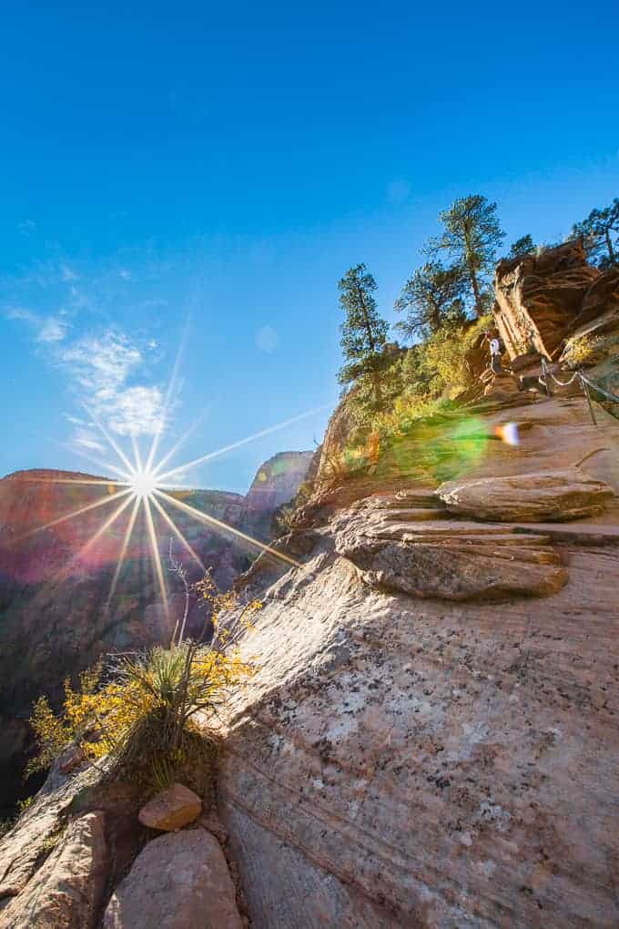 Angels Landing in Zion National Park | Get Inspired Everyday!