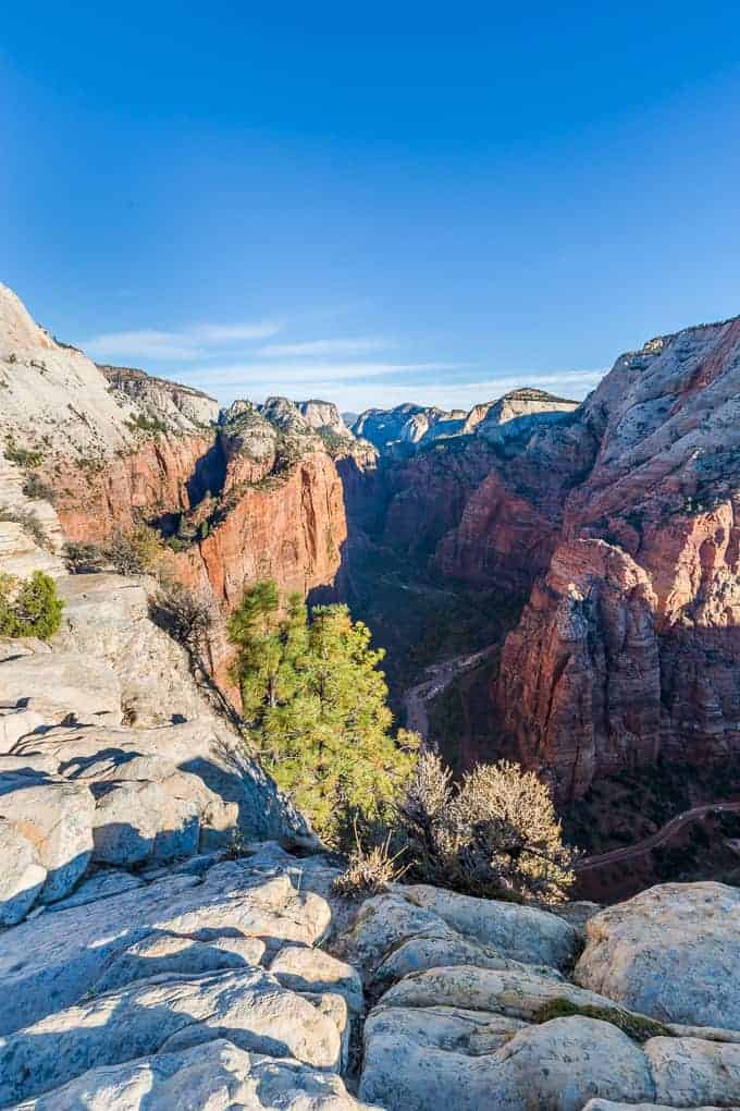 Angels Landing in Zion National Park | Get Inspired Everyday!