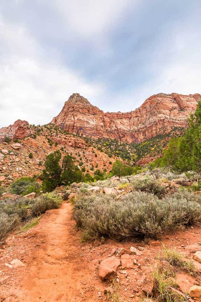 The Watchman Trail in Zion National Park | Get Inspired Everyday!