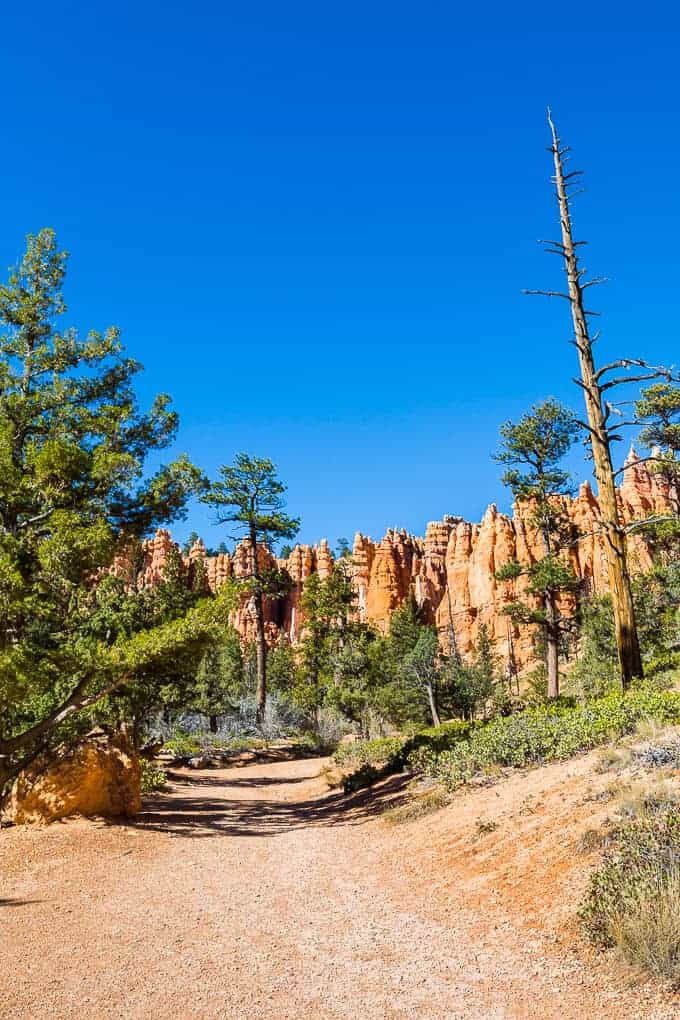 Navajo and Queen's Garden Loop Trail | Get Inspired Everyday!