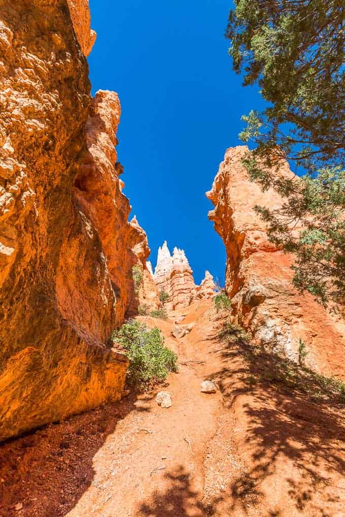 Navajo and Queen's Garden Loop Trail | Get Inspired Everyday!