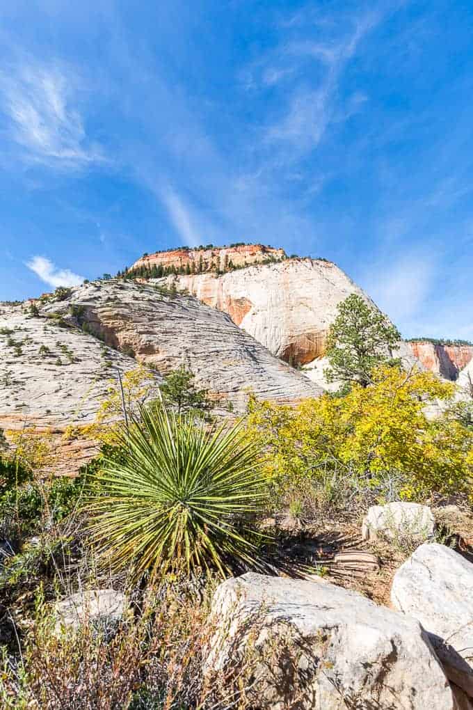 West Rim Trail in Zion National Park | Get Inspired Everyday!