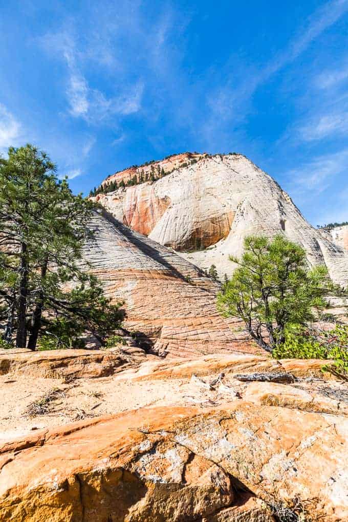 West Rim Trail in Zion National Park | Get Inspired Everyday!