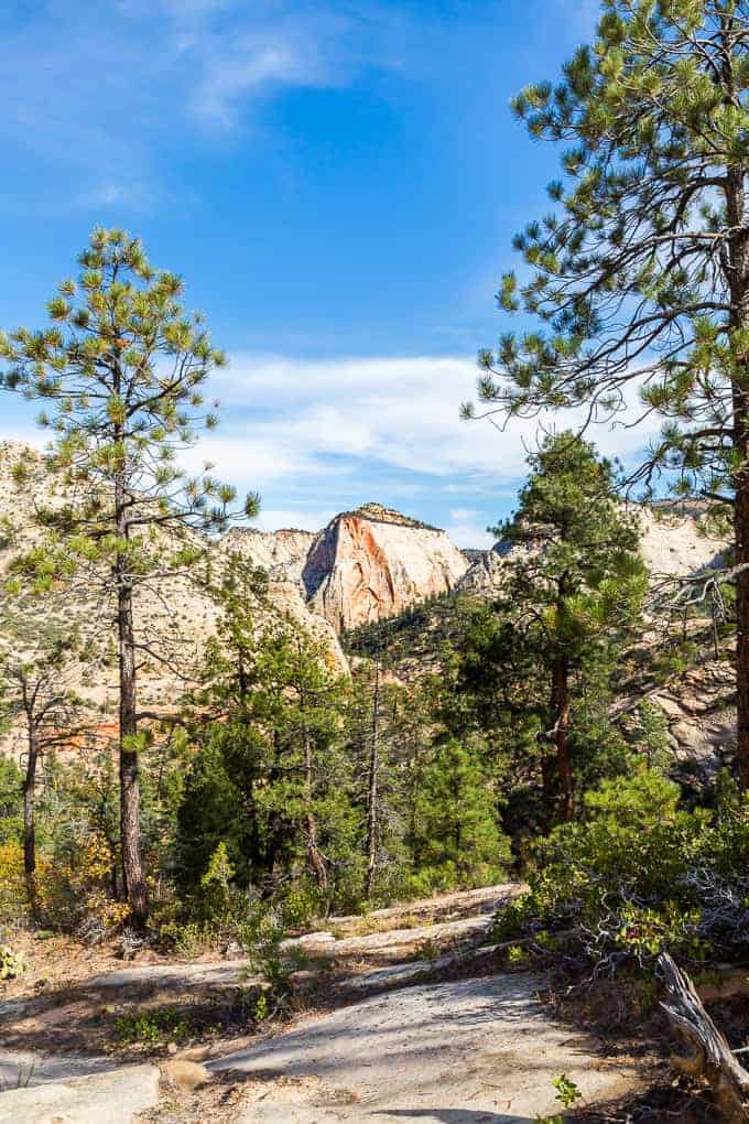 West Rim Trail in Zion National Park | Get Inspired Everyday!