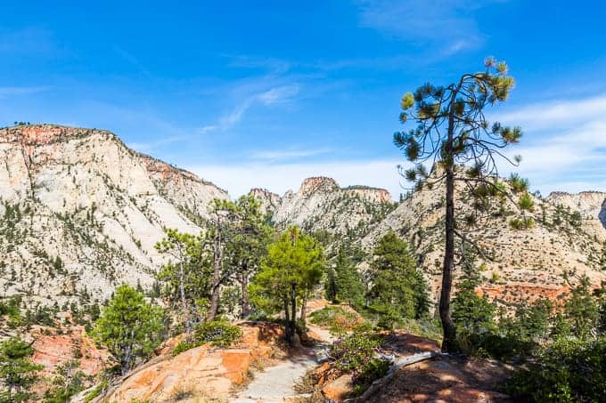 West Rim Trail in Zion National Park | Get Inspired Everyday!