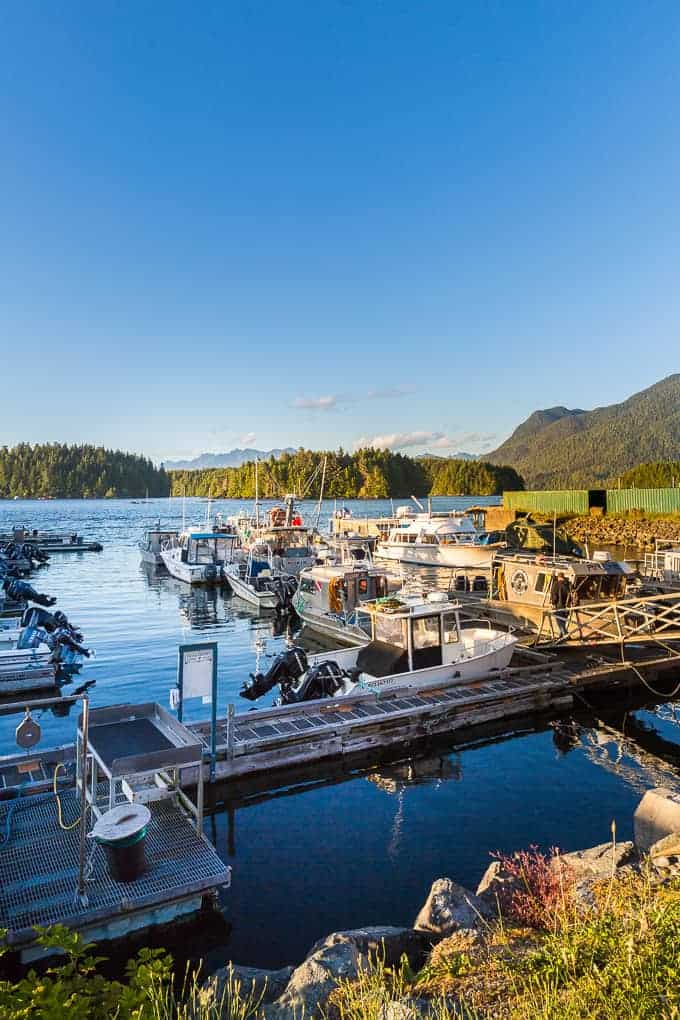 A Traveling Guide to Tofino, Vancouver Island | Get Inspired Everyday!