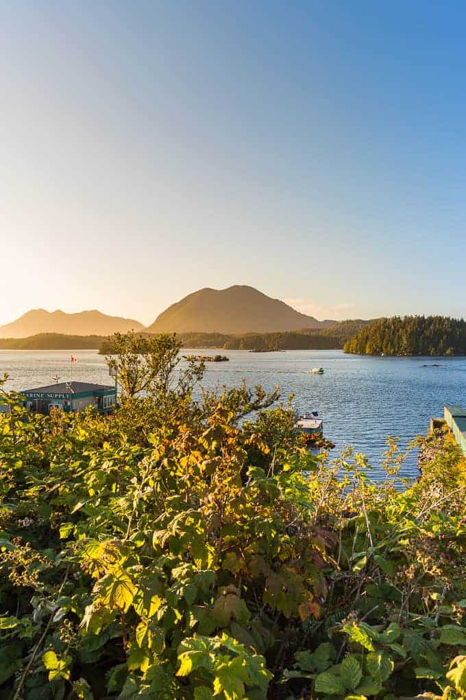 A Traveling Guide to Tofino, Vancouver Island | Get Inspired Everyday!