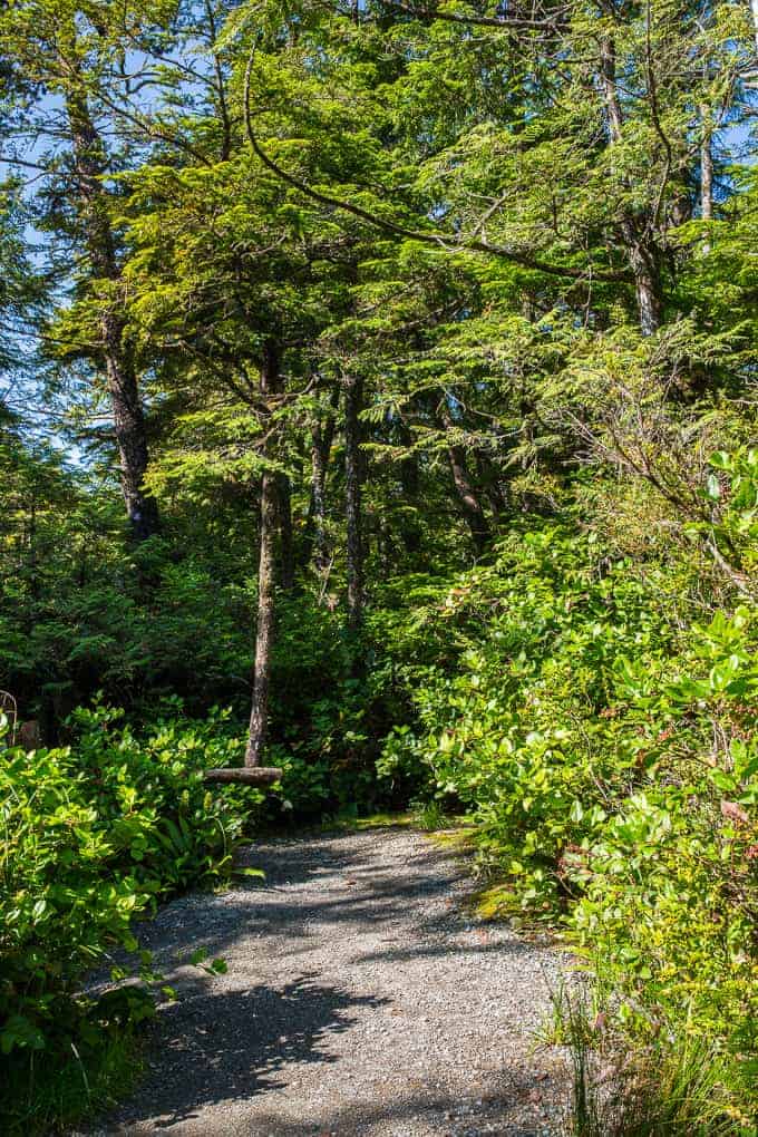 Lighthouse Loop Hike, Vancouver Island | Get Inspired Everyday!