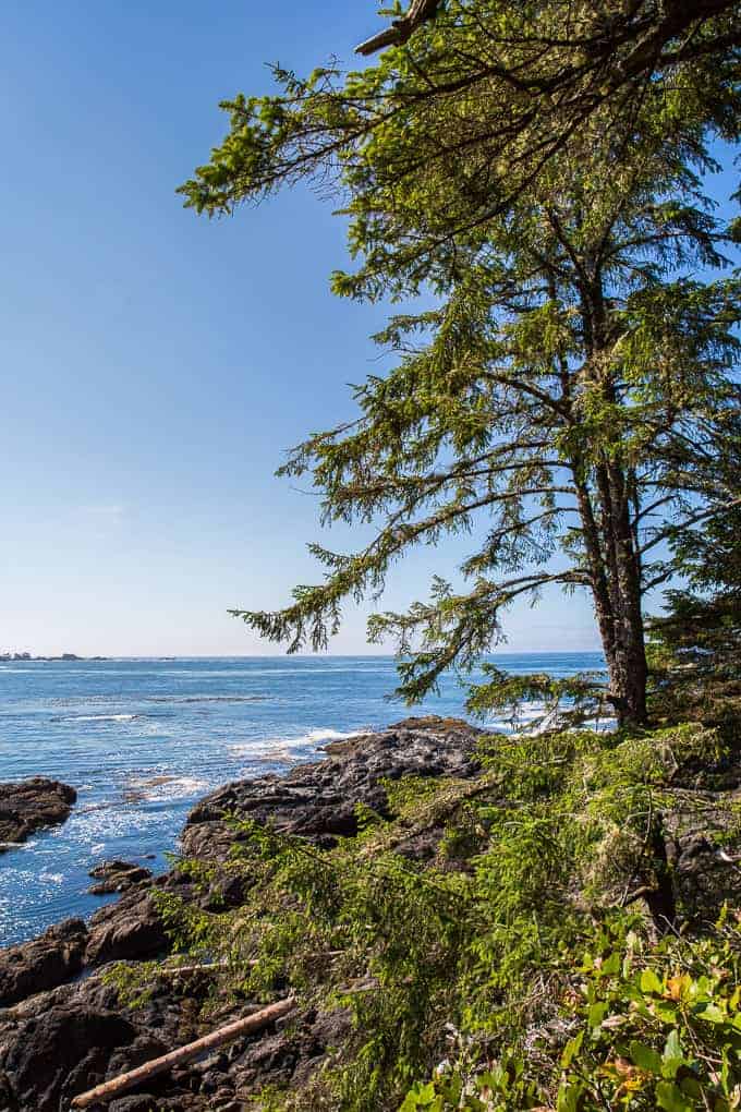 Lighthouse Loop Hike, Vancouver Island | Get Inspired Everyday!
