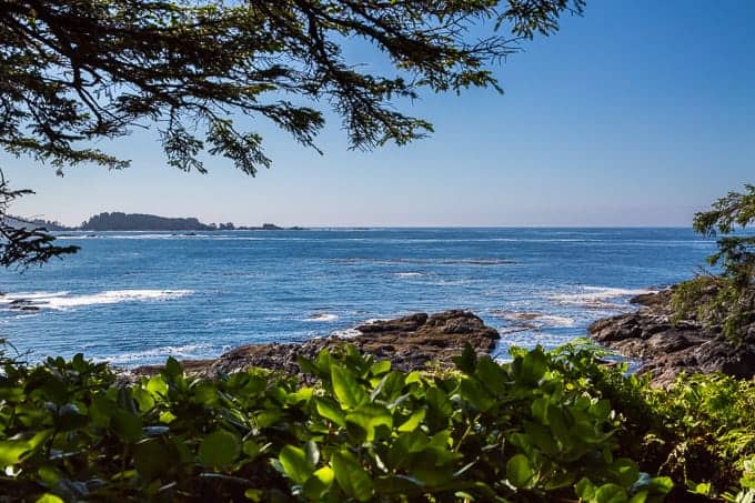 Lighthouse Loop Hike, Vancouver Island | Get Inspired Everyday!