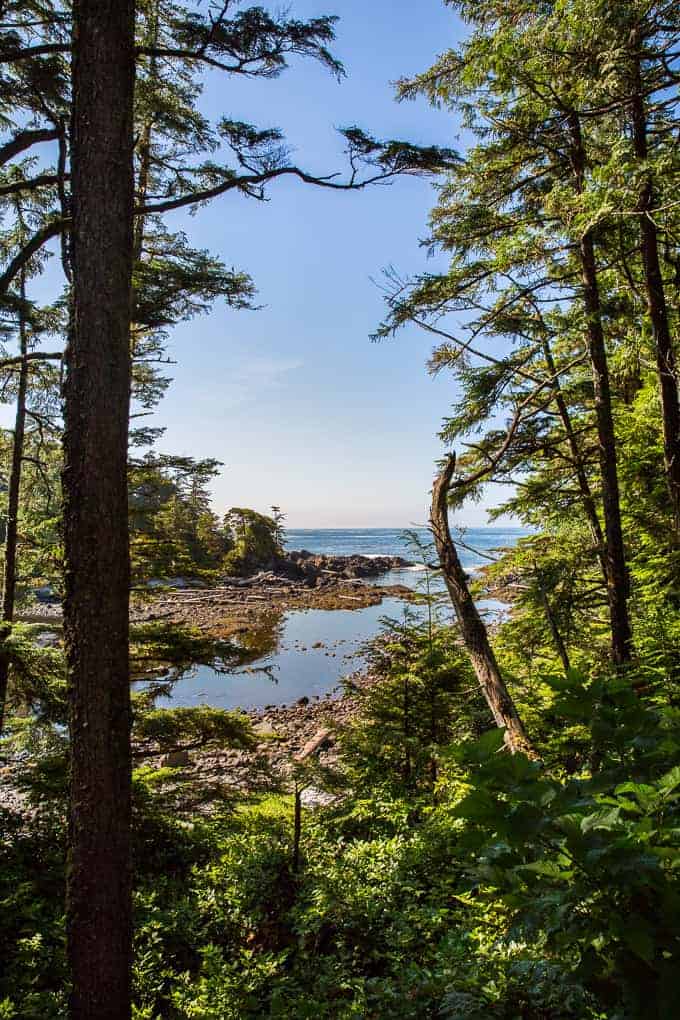 Lighthouse Loop Hike, Vancouver Island | Get Inspired Everyday!