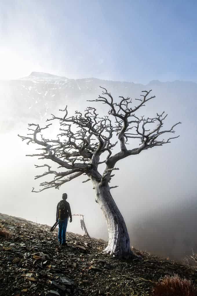 Scenic Point in Glacier National Park | Get Inspired Everyday!