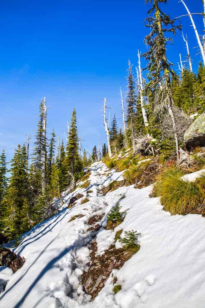 Mount Brown in Glacier National Park | Get Inspired Everyday!