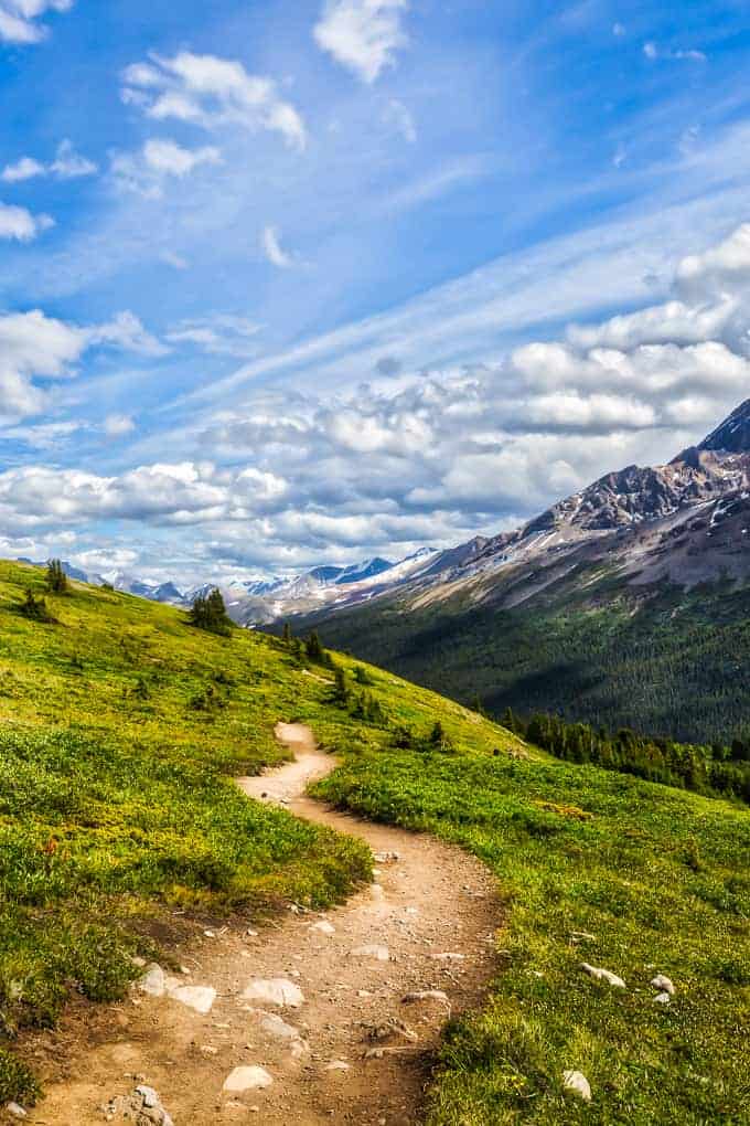 Wilcox Pass and Summit Scramble | Get Inspired Everyday!