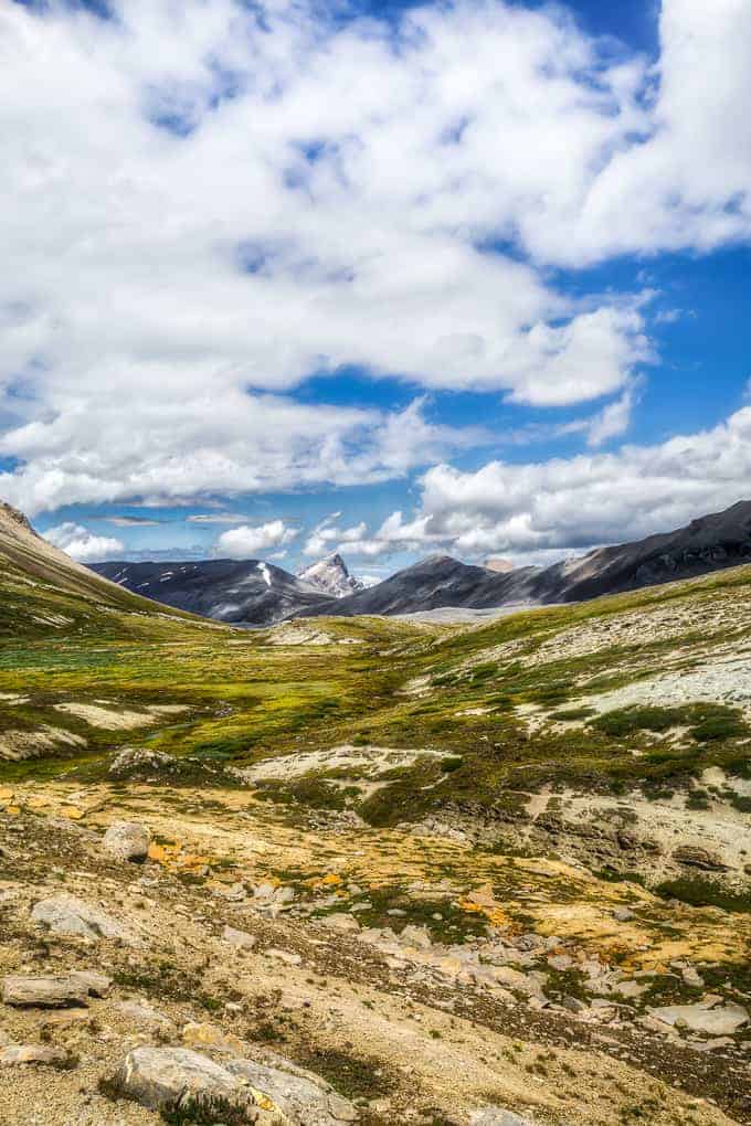 Wilcox Pass and Summit Scramble | Get Inspired Everyday!