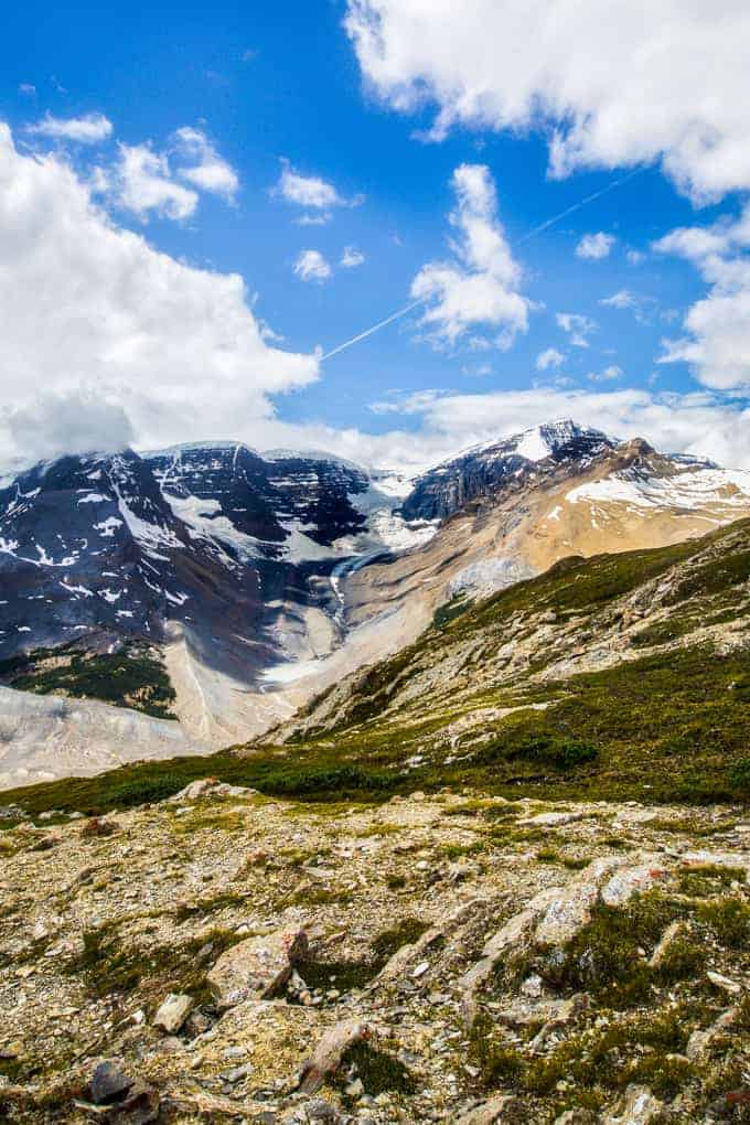 Wilcox Pass and Summit Scramble | Get Inspired Everyday!