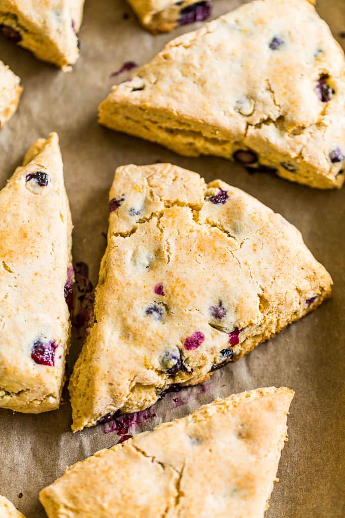 Gluten Free Lemon Blueberry Scones | Get Inspired Everyday!