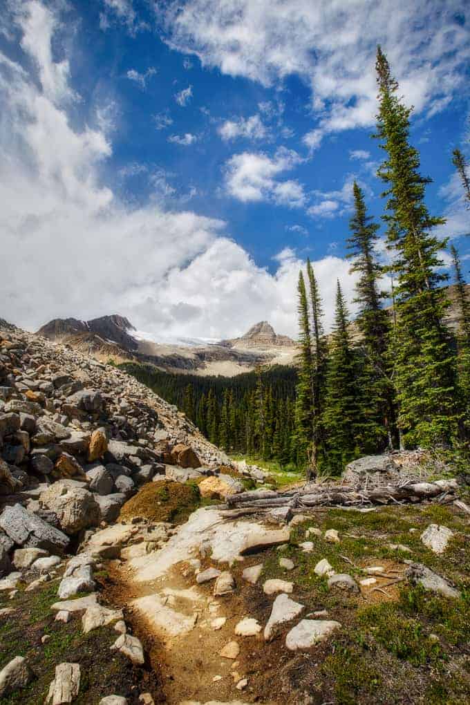 Iceline Trail in Yoho National Park | Get Inspired Everyday!