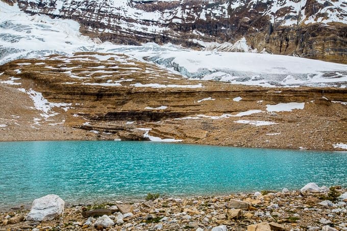 Iceline Trail in Yoho National Park | Get Inspired Everyday!