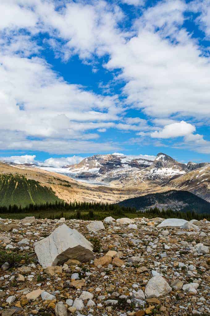 Iceline Trail in Yoho National Park | Get Inspired Everyday!