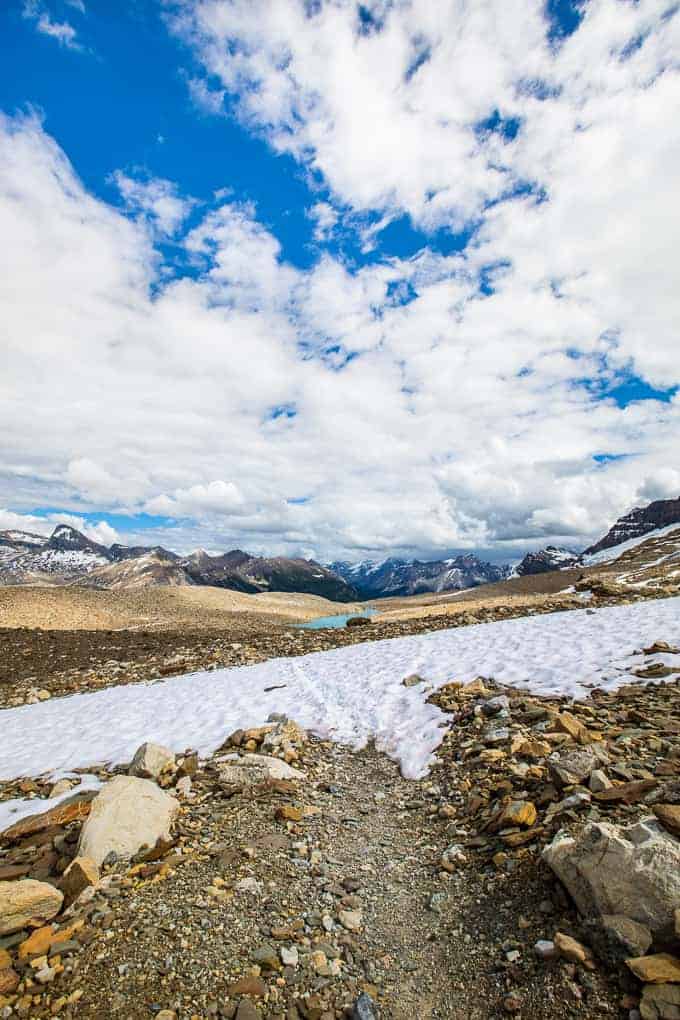 Iceline Trail in Yoho National Park | Get Inspired Everyday!