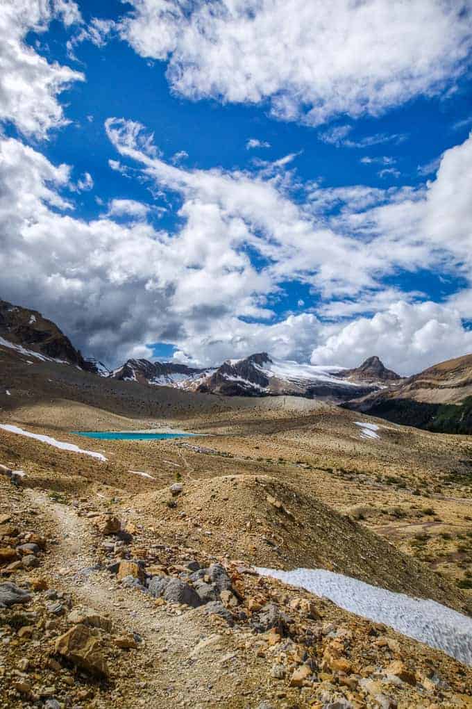 Iceline Trail in Yoho National Park | Get Inspired Everyday!