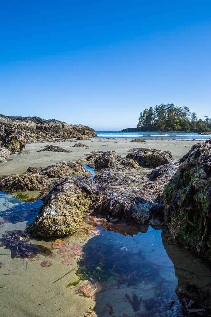 Schooner Cove Trail in Pacific Rim National Park | Get Inspired Everyday!