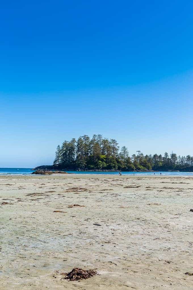 Schooner Cove Trail in Pacific Rim National Park | Get Inspired Everyday!