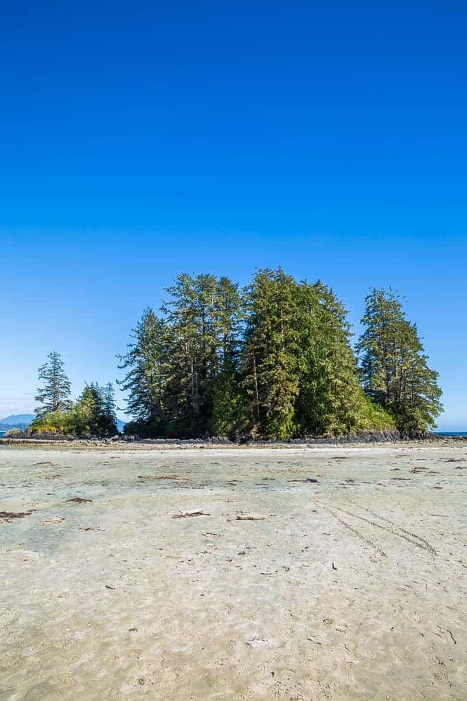 Schooner Cove Trail in Pacific Rim National Park | Get Inspired Everyday!