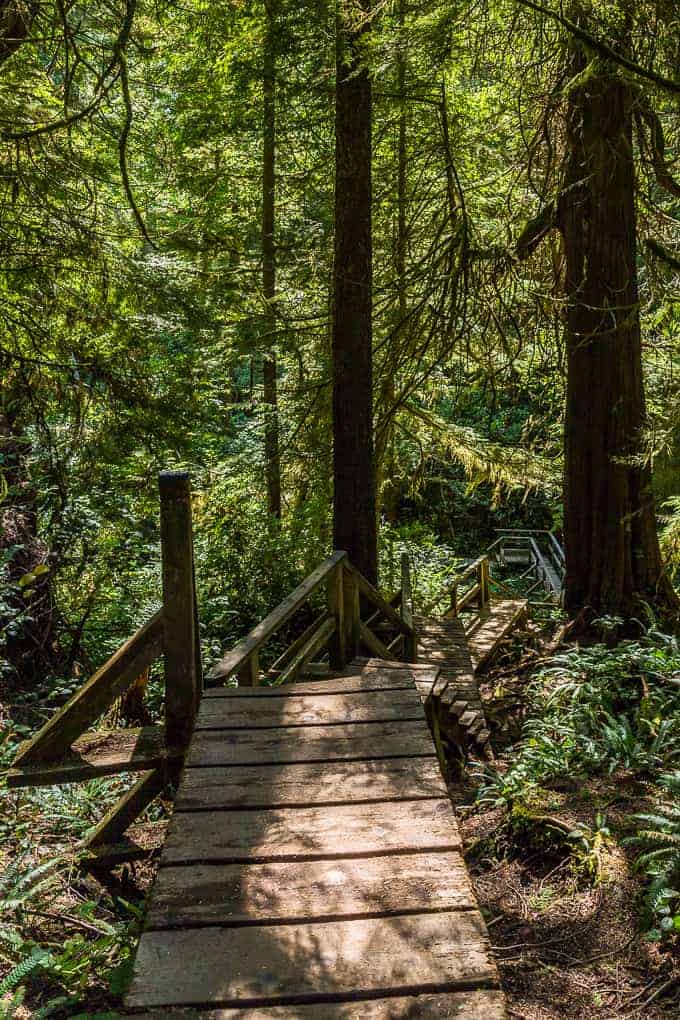Schooner Cove Trail in Pacific Rim National Park | Get Inspired Everyday!