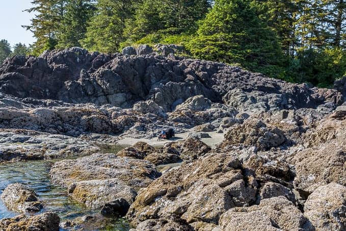 Schooner Cove Trail in Pacific Rim National Park | Get Inspired Everyday!