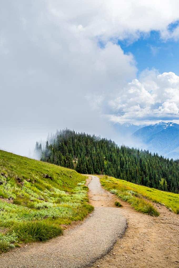 Hurricane Hill in Olympic National Park | Get Inspired Everyday!