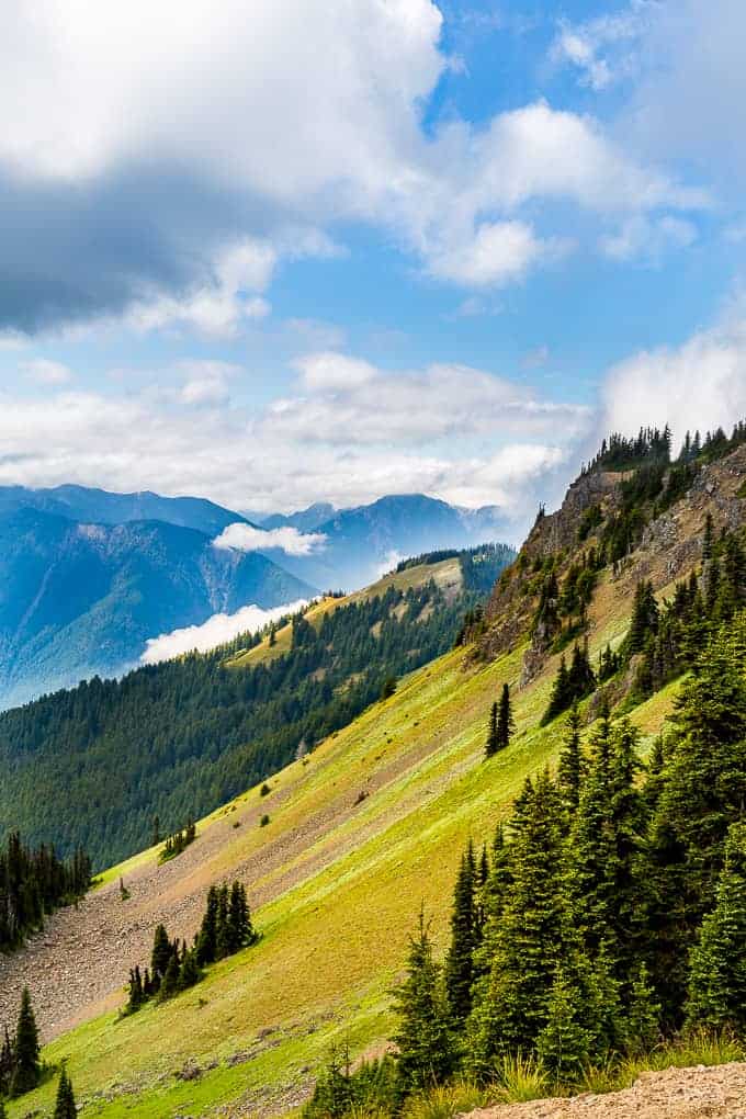 Hurricane Hill in Olympic National Park | Get Inspired Everyday!