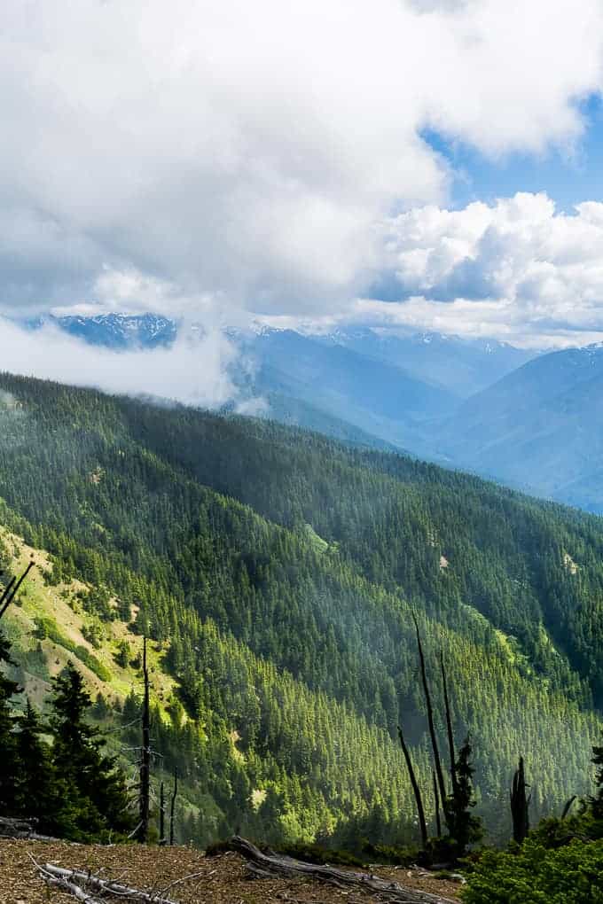 Hurricane Hill in Olympic National Park | Get Inspired Everyday!