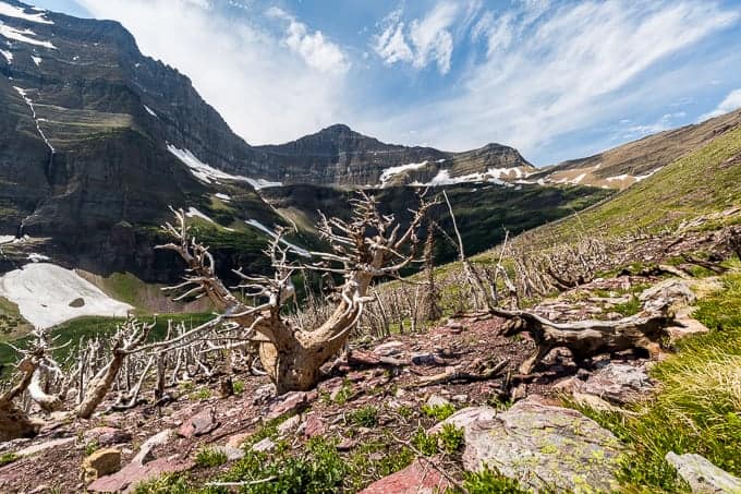 Siyeh Pass in Glacier National Park | Get Inspired Everyday!