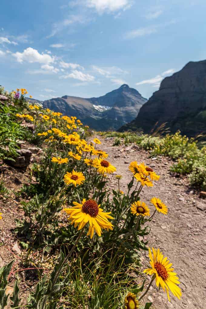 Siyeh Pass in Glacier National Park | Get Inspired Everyday!