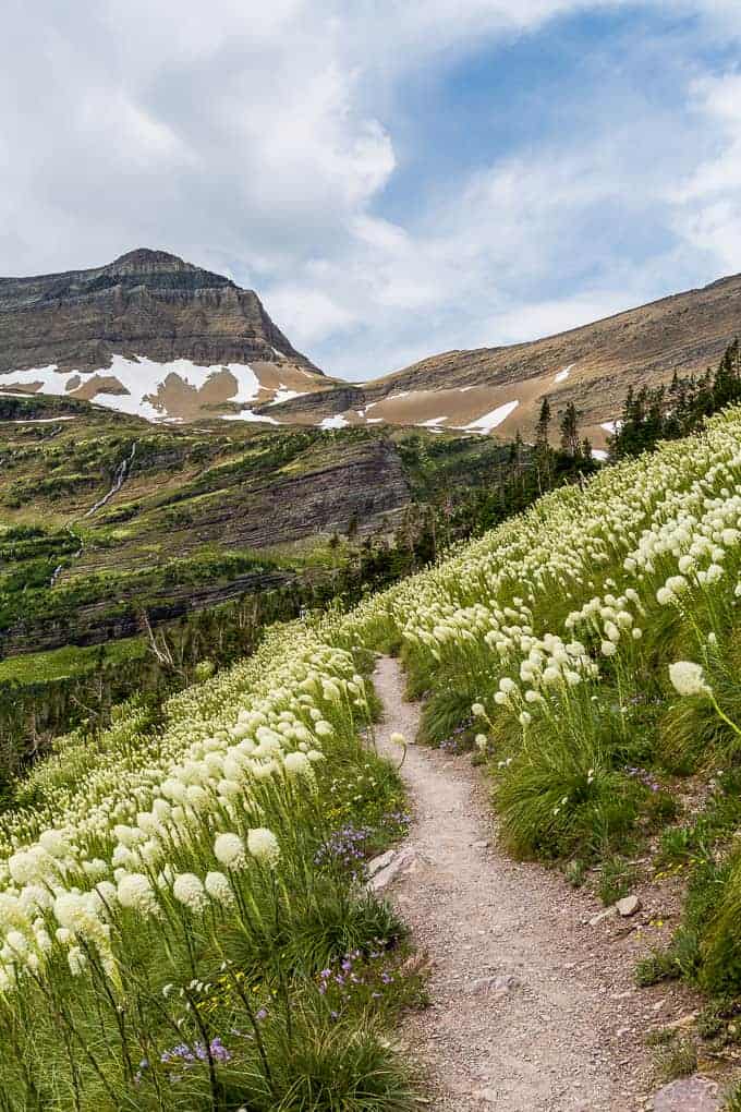 Siyeh Pass in Glacier National Park | Get Inspired Everyday!