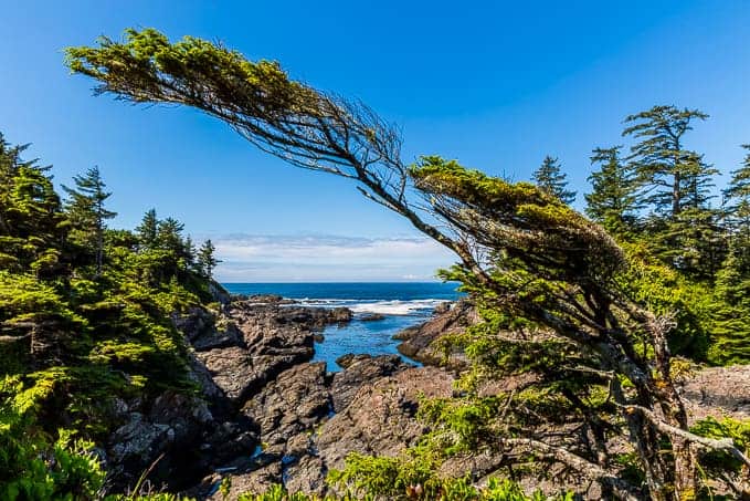 Wild Pacific Trail in Pacific Rim National Park | Get Inspired Everyday!