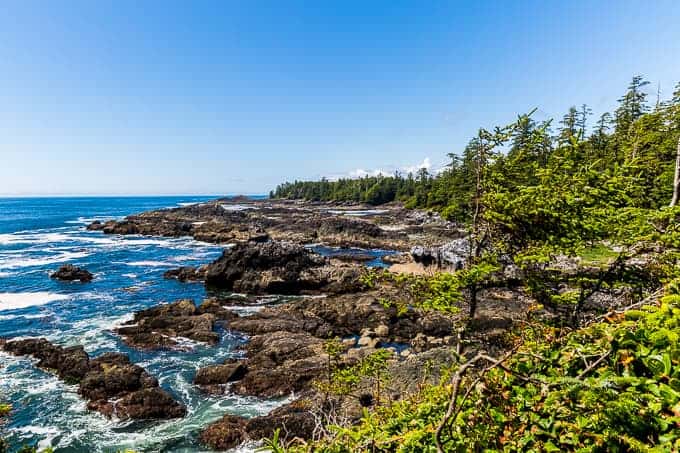 Wild Pacific Trail in Pacific Rim National Park | Get Inspired Everyday!
