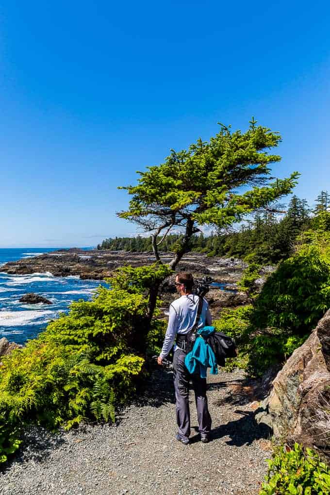 Wild Pacific Trail in Pacific Rim National Park | Get Inspired Everyday!