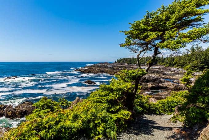 Wild Pacific Trail in Pacific Rim National Park | Get Inspired Everyday!